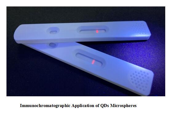 Immunochromatographic Application of QDs Microspheres.jpg