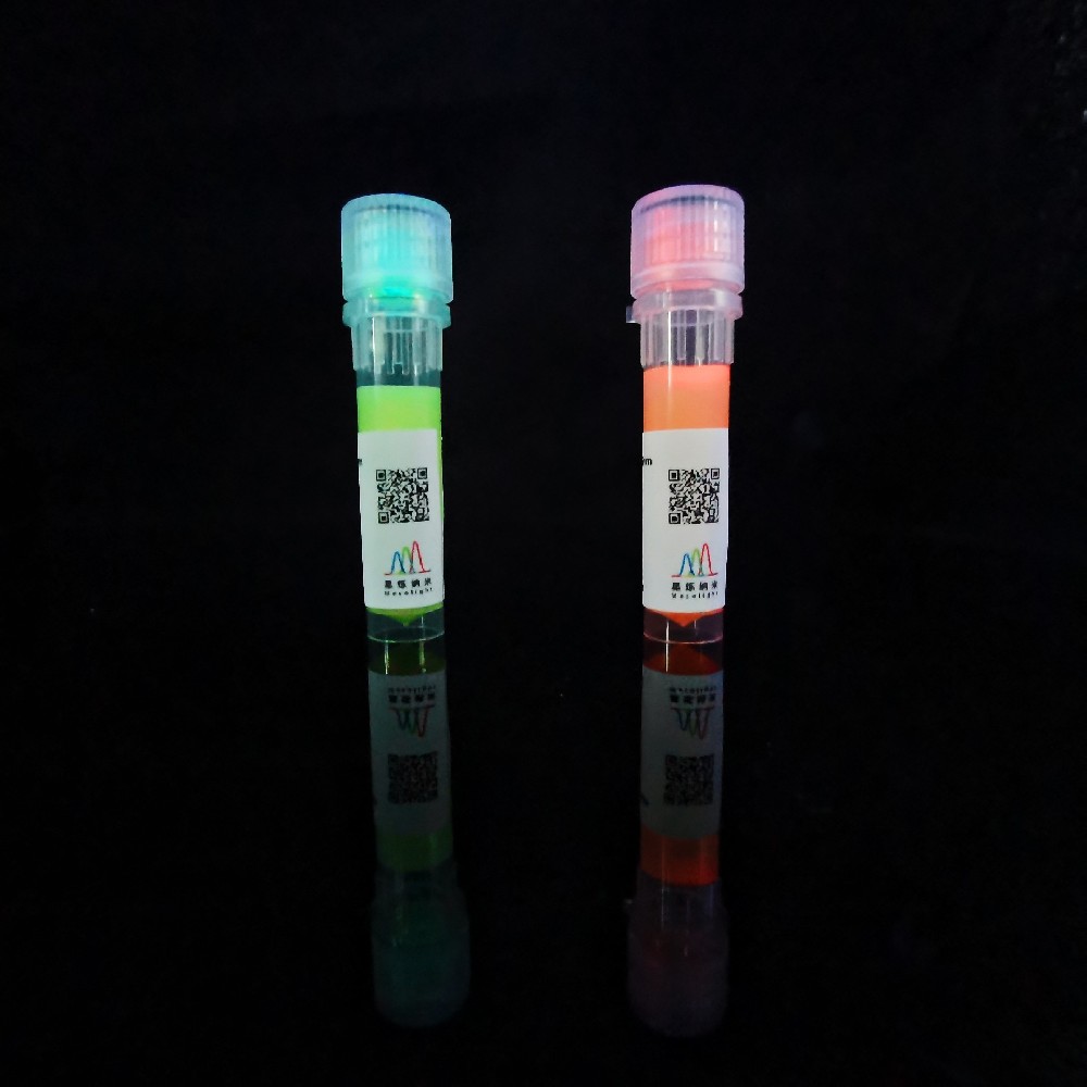 InP Quantum Dots Microspheres